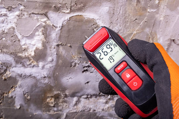 Best Local Mold Removal Service  in Danville, IN