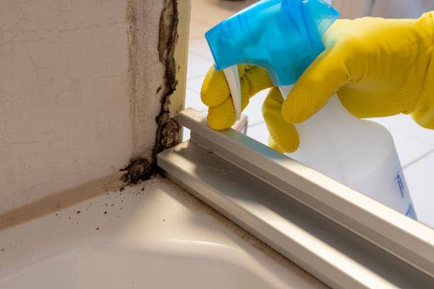 Best Mold Testing  in Danville, IN