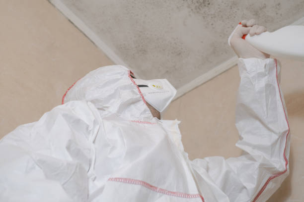 Best Best Mold Removal Companies  in Danville, IN