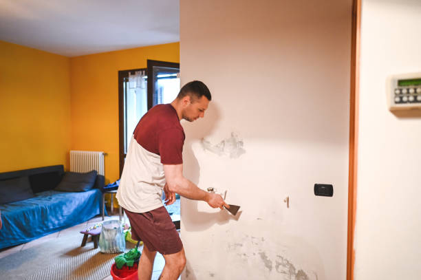 Best Mold Remediation Services  in Danville, IN